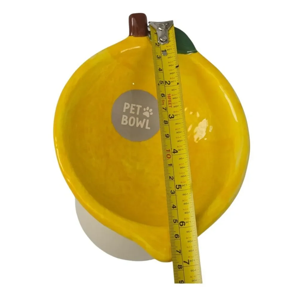 Rockybear Pet Tilted And Elevated Cat Drinking Water Bowl Lemon‎ Pattern 6